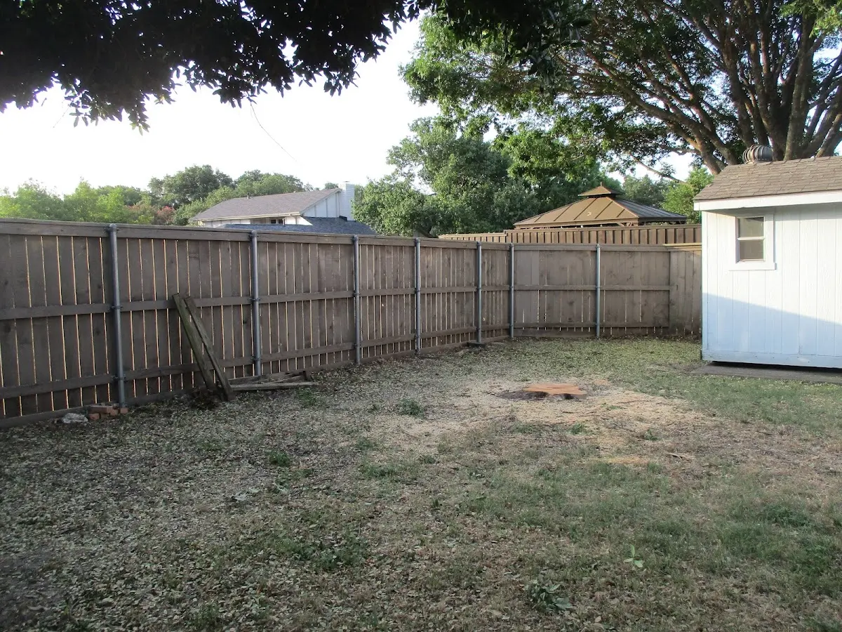 Cleared yard after professional tree removal in Jacumba